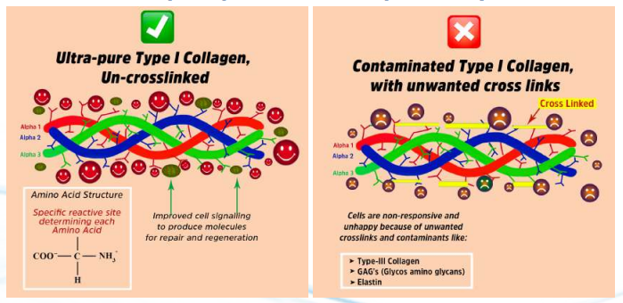 Comparative Characteristics of Collagen (Correct and Incorrect)
