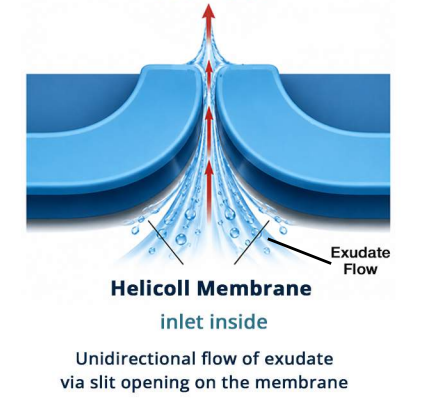 Unidirectional flow of exudate through a slit opening on the membrane